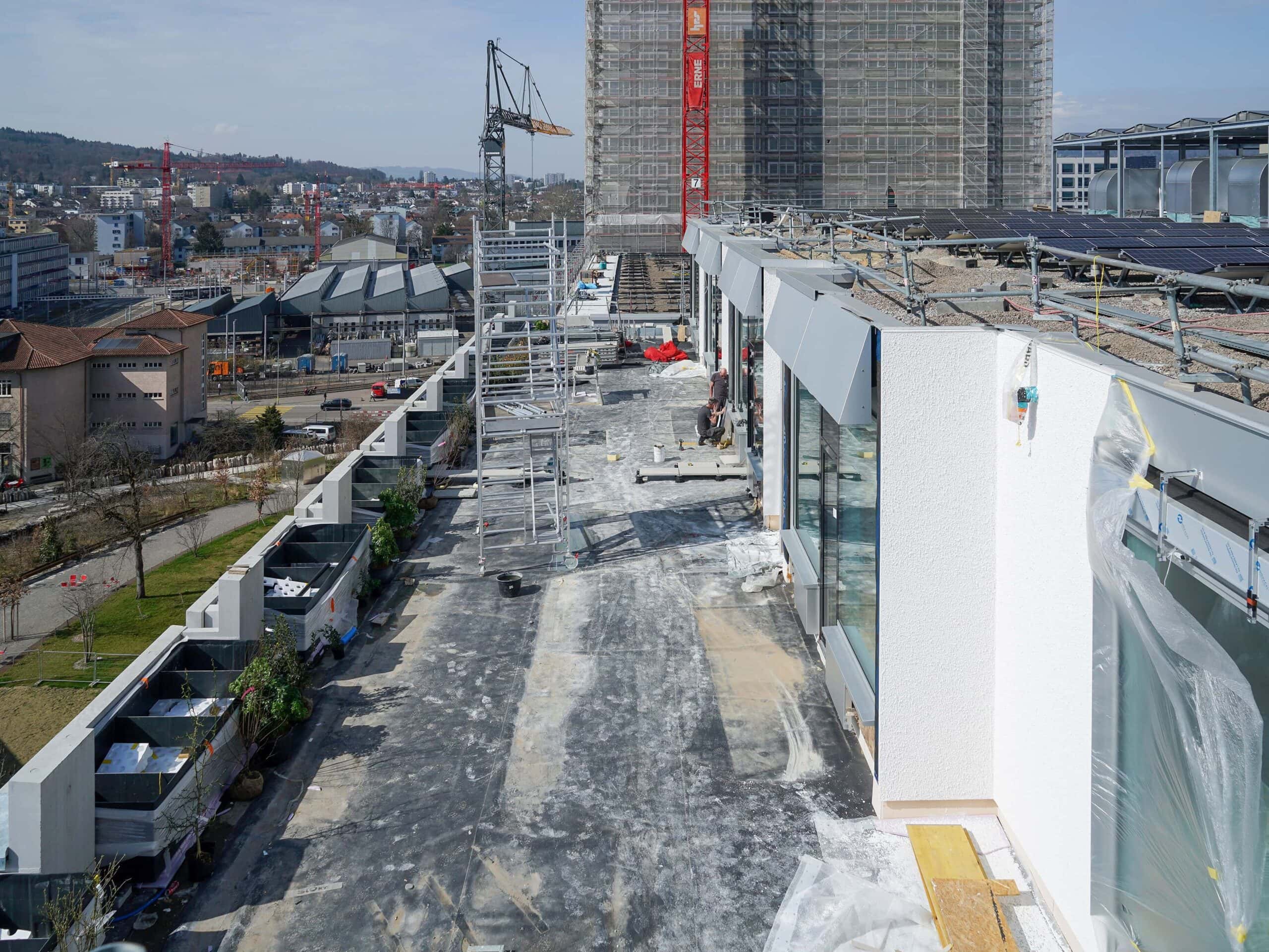 dsc03895 s scaled aspect ratio 4 3